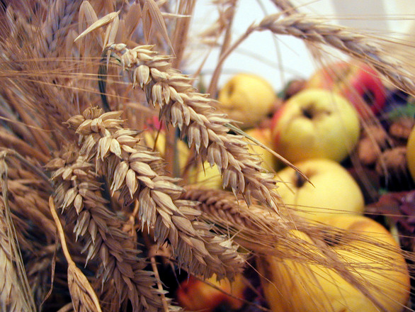 Lammas Ritual