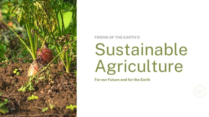 Sustainable Agriculture for our Future and for the Earth —&nbsp;ecogreenlove