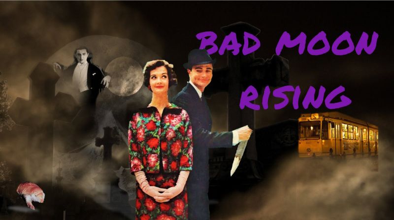 The Armadillo Files, Episode 9 — Featuring Bad Moon Rising — Teagan’s&nbsp;Books