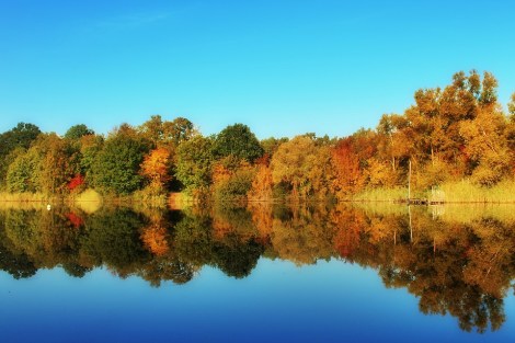 Weekly Spell Casting October 11, 2021 – October 17, 2021, gives you the optimal time to do specific spells and activities