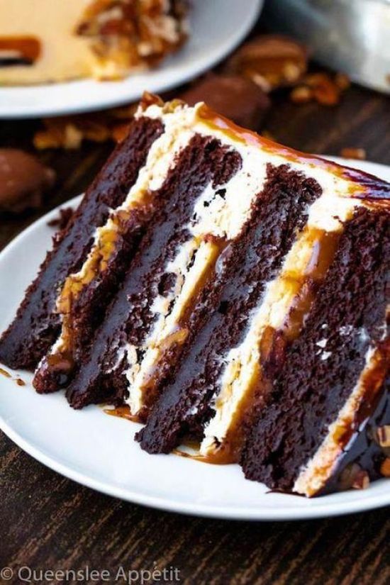 10 Chocolate Cake Recipes To Satisfy Your Sweet Tooth —&nbsp;Society19