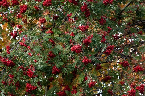 Weekly Spell Casting November 15, 2021 – November 21, 2021, gives you the optimal time to do specific spells and activities.