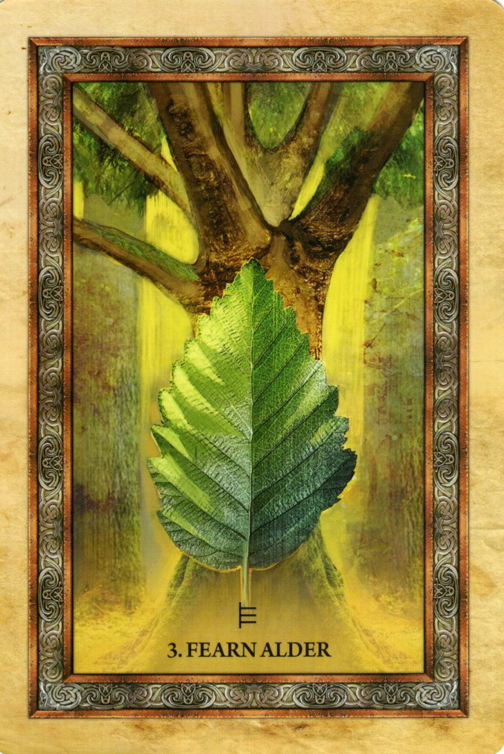 Weekly Oracle Reading for the Week of December 27- January 2, 2022 by Lady Dyanna — Ravenhawk’s|  Magickal Products| Candles| Cloaks| Ritual&nbsp;Boxes|