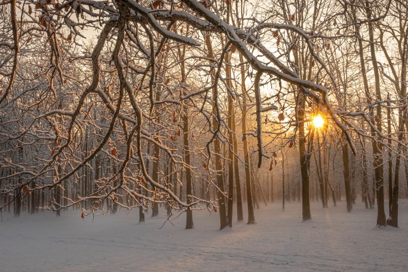 Michigan Morning Magic — Michigan in&nbsp;Pictures