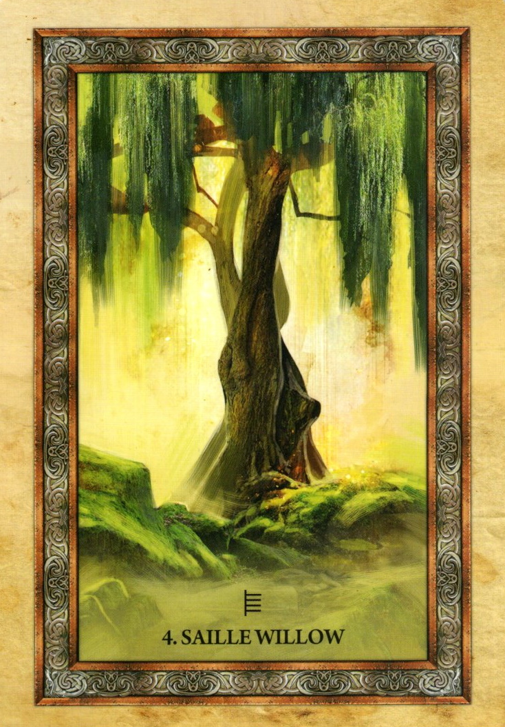 Weekly Oracle Reading for the Week of February 14, 2022 – February 20, 2022 by Lady&nbsp;Dyanna