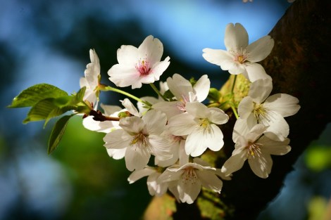 Weekly Spell Casting March 14 – March 20, 2022, gives you the optimal time to do specific spells and activities.