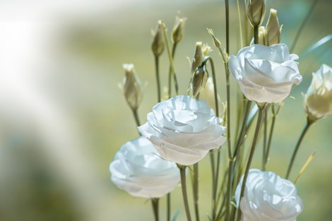 Weekly Relationship Awareness February 28, 2022 – March 6, 2022, by Lady Dyanna — Your Spiritual Journey