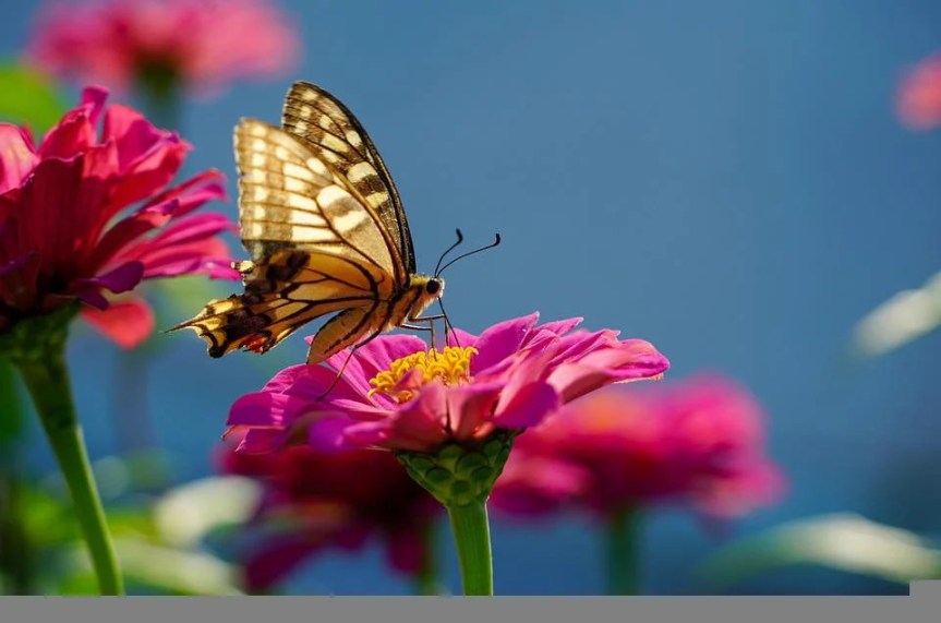 Weekly Spell Casting May 16 – May 22, 2022, by Lady&nbsp;Dyanna