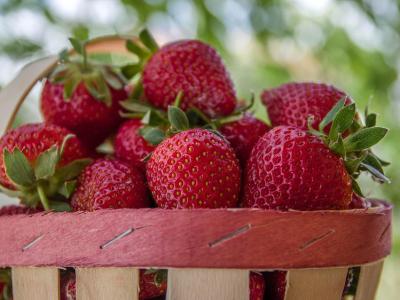 Weekly Spell Casting June 13 – June 19, 2022, by Lady Dyanna