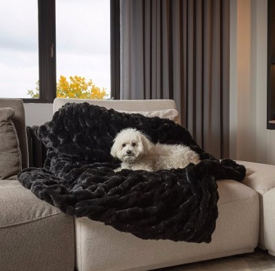 Wyndesong’s Place: We Are Back — Wyndesong's Place