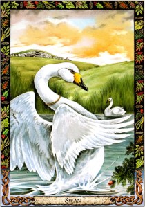 Weekly Oracle Reading for the Week of July 18, 2022 – July 24, 2022, by Lady Dyanna — Ravenhawk's Magickal Products