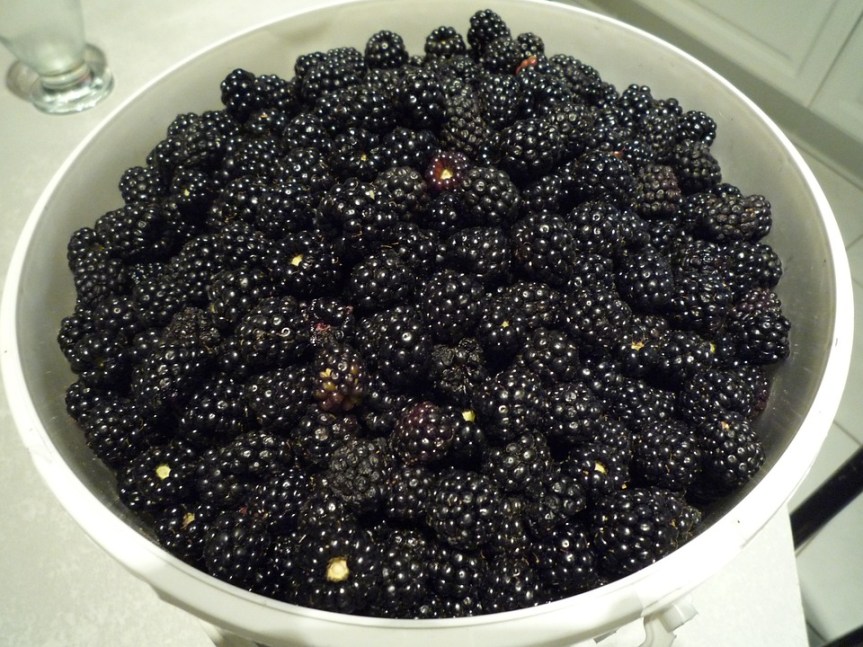 Grain Harvest Recipe: Brigid’s Blackberry&nbsp;Pie