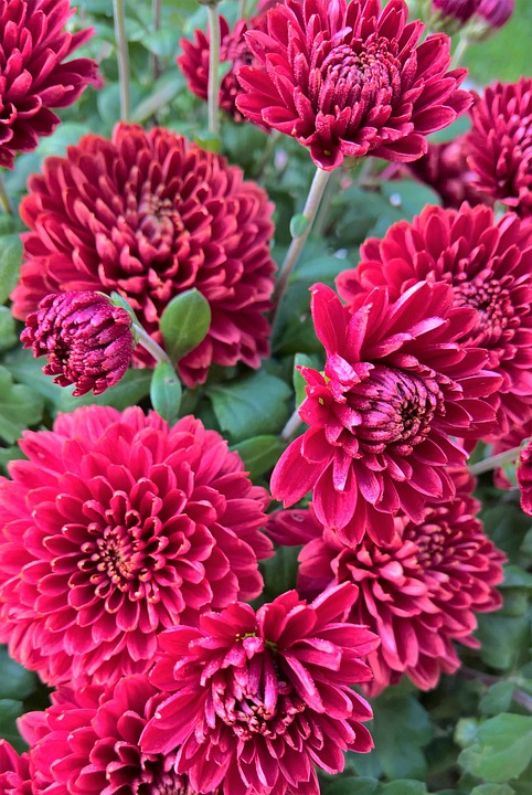 Weekly Relationship Awareness September 19, 2022 – September 25, 2022, by Lady Dyanna